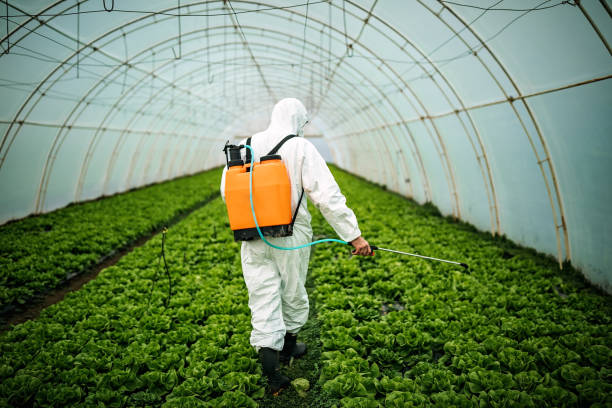 Best Affordable Pest Control Services  in Beaver, WV