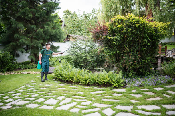 Best Pest Inspection Near Me  in Beaver, WV
