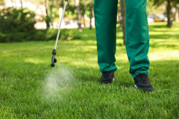 Wasp Removal Services in Beaver, WV