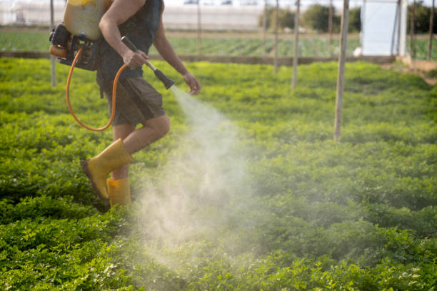 Best Ant Control Services  in Beaver, WV