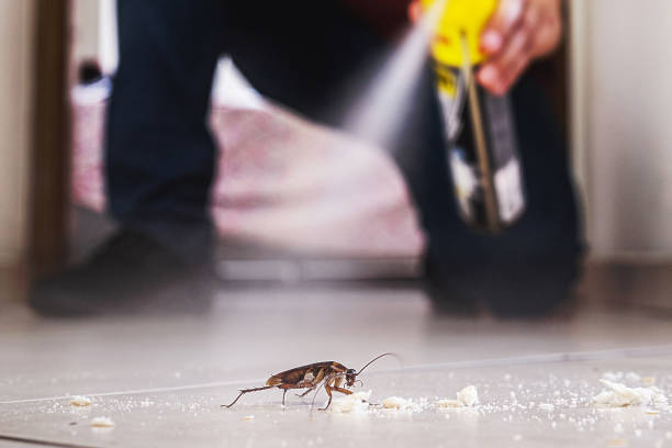 Professional Pest Control in Beaver, WV